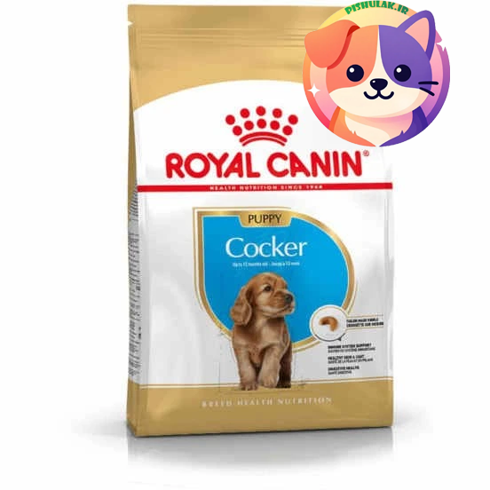 غذای خشک توله سگ رویال کنین مخصوص نژاد کوکر اسپانیل (Royal Canin Cocker Puppy) | بسته ۳ کیلوگرمی